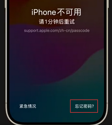 莱芜苹果手机密码维修分享iPhone忘记了刚设置的密码 