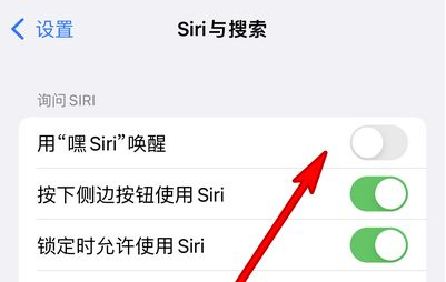 莱芜苹果13维修分享iPhone 13怎么唤醒 Siri  