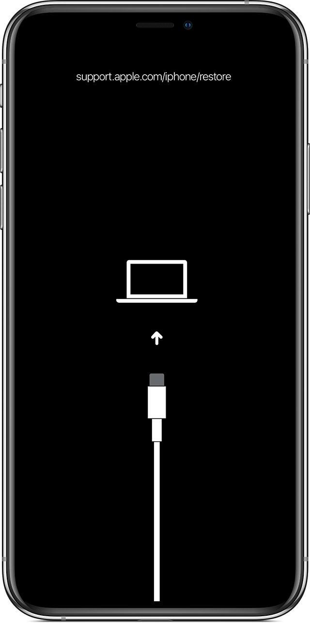 莱芜苹果手机维修分享iPhone 输入锁屏密码出现方框，且原密码不正确怎么办 